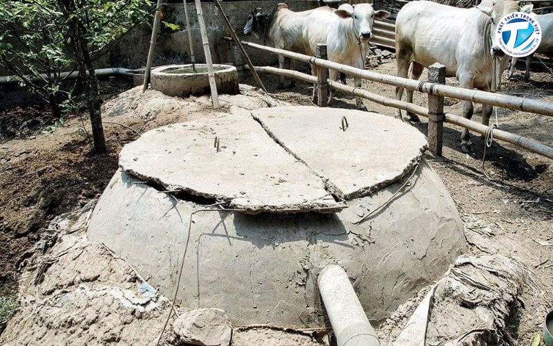 Hầm biogas xử lý chất thải chăn nuôi
